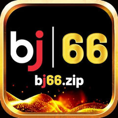 bj66 zip's profile picture