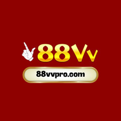 88VVPro  Com's profile picture