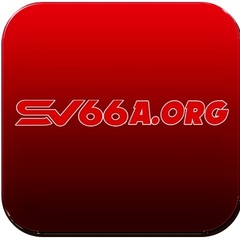 Sv66 org's profile picture