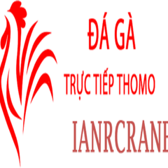 Đá Gà Trực  Tiếp Thomo's profile picture