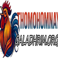 THOMOHOMNAY  XEM TRỰC TIẾP ĐÁ GÀ's profile picture