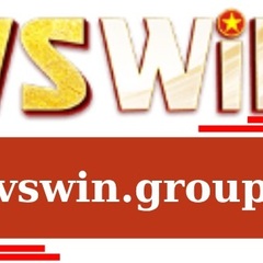 vswin group's profile picture