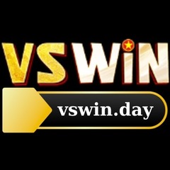 Vswin day's profile picture