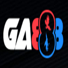 GA888  raiderinsiderforums's profile picture