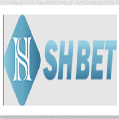 Shbet63 com's profile picture