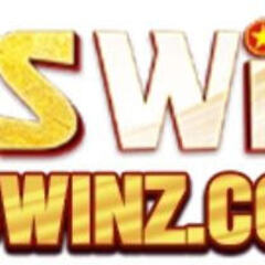 VSWinz Com's profile picture