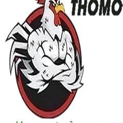 ĐÁ GÀ  TRỰC TIẾP's profile picture