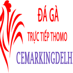 Đá Gà Trực Tiếp  Thomo's profile picture
