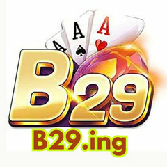 B29 Ing's profile picture