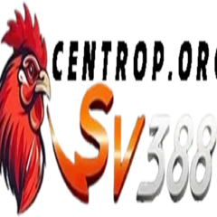 SV388  centrop's profile picture