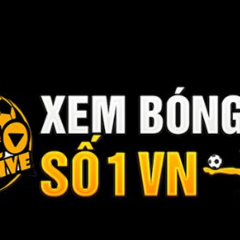 SOCOLIVE tv's profile picture