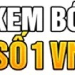 Socolive2 Today's profile picture