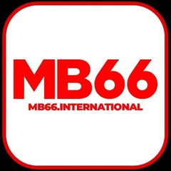 mb66 international's profile picture