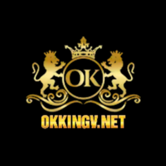 Okkingv Net's profile picture