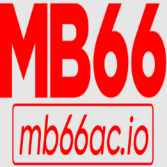 mb66 .'s profile picture