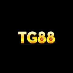TG88 codes's profile picture