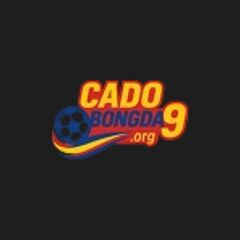 9org cadobongda's profile picture