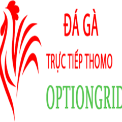 Đá Gà Trực  Tiếp Thomo's profile picture