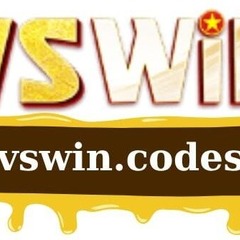 vswin codes's profile picture