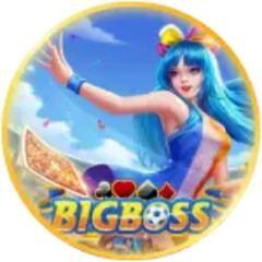 BigBoss .'s profile picture