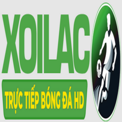 most fit com lừa đảo's profile picture