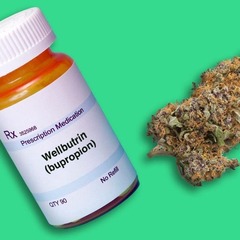wellbutrin and  marijuana's profile picture