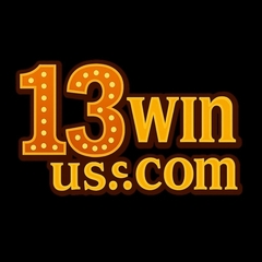 13WIN EUU's profile picture