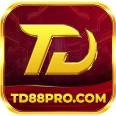 td88 com's profile picture