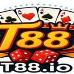 T88 Io's profile picture