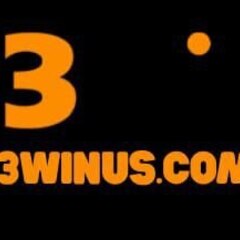 13winus com's profile picture