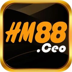 HM88 Ceo's profile picture