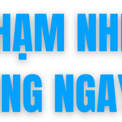 S 8's profile picture