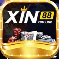 xin88com link's profile picture