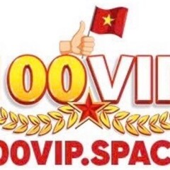 100Vip Space's profile picture
