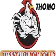 ĐÁ GÀ TRỰC  TIẾP VIN's profile picture