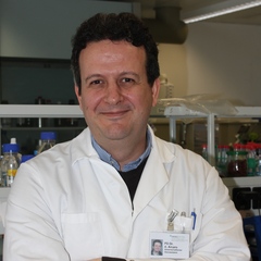 Alexandre Arcaro's profile picture