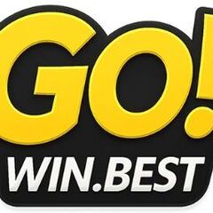 GOWIN best's profile picture