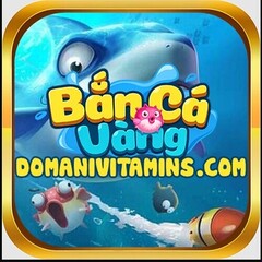 banca vang's profile picture