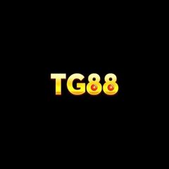 TG88  Net's profile picture