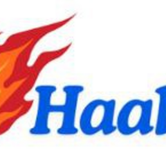 Erling Haaland Erling Braut Haaland's profile picture