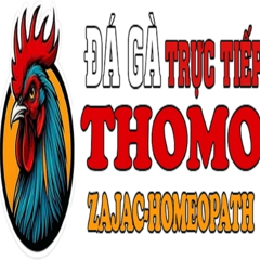 ĐÁ GÀ THOMO TRỰC TIẾP HÔM NAY TẠI CAMPUCHIA's profile picture