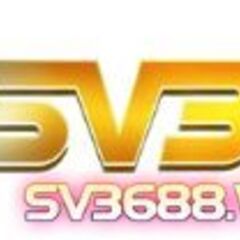 sv368 work's profile picture