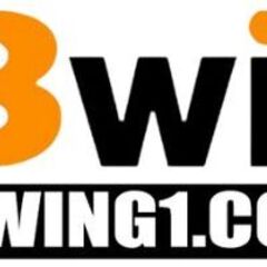 13wing1 Com's profile picture