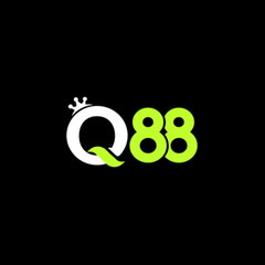 Q88 art's profile picture