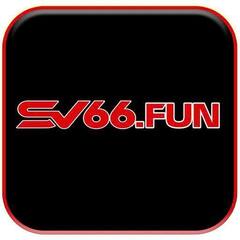 SV66 com's profile picture