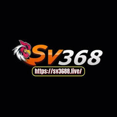 sv3688 live's profile picture