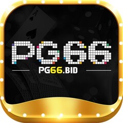 pg66 bid's profile picture