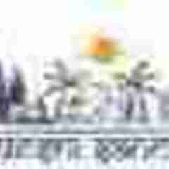 Swadeshi Sanchaar's profile picture