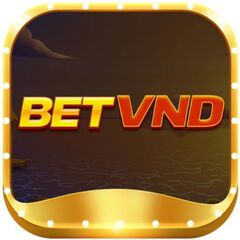 betvnd .'s profile picture