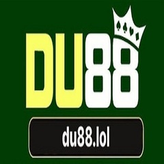 Du 88's profile picture